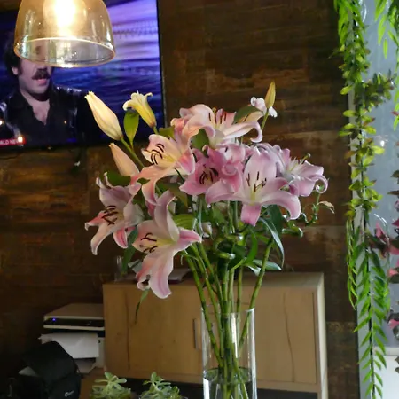 ホテル Vh Premier As & Meeting Center ティラナ