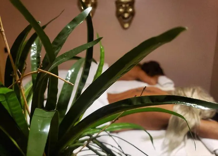 Vh Premier As & Meeting Center 4*