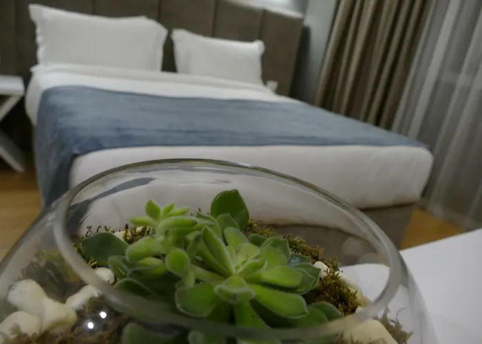 Vh Premier As & Meeting Center 4*