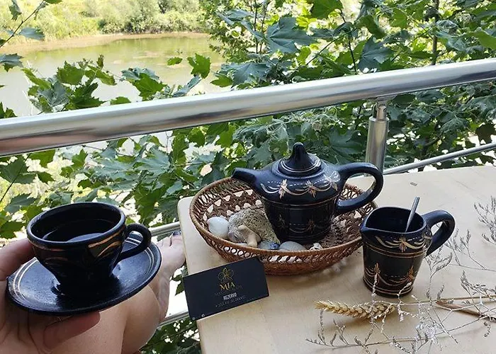 Vh Premier As & Meeting Center 4*